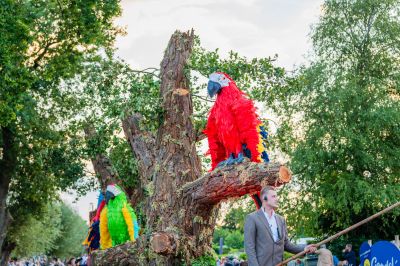 Foto's gondelvaart 2024