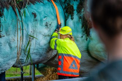 Foto's gondelvaart 2024