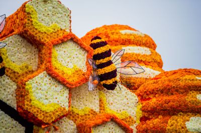 Foto's Gondelvaart 2023