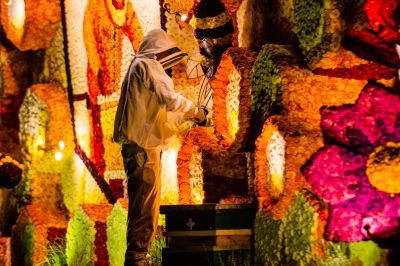 Foto's Gondelvaart 2023